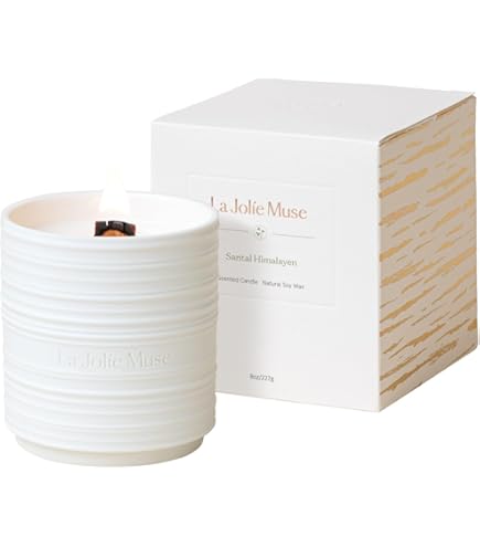 Amazon.co.jp: Aesop イソップ プトレミー アロマティック キャンドル